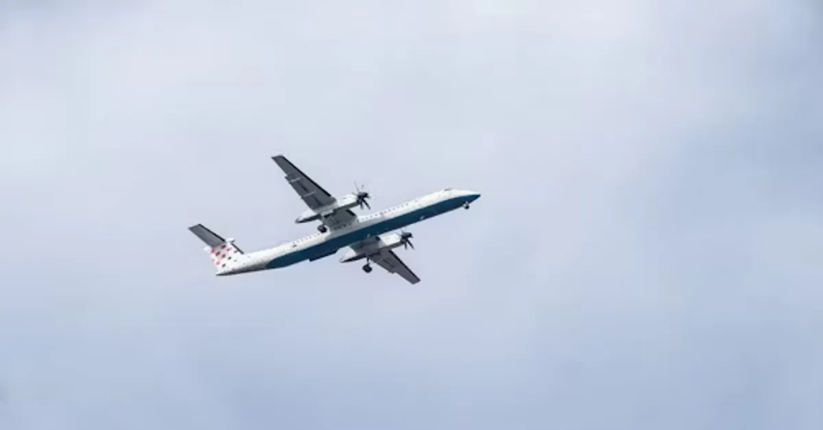 Delta Flight DL275 Diverted LAX