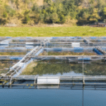 salinity solution