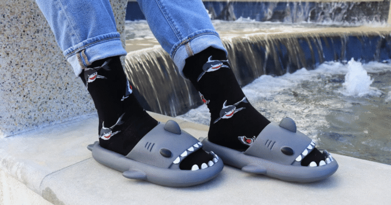 shark slides
