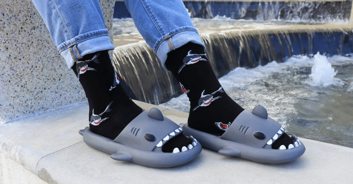 shark slides