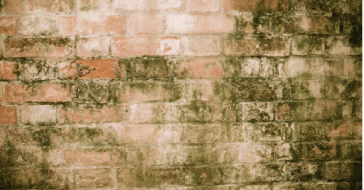 brick stain