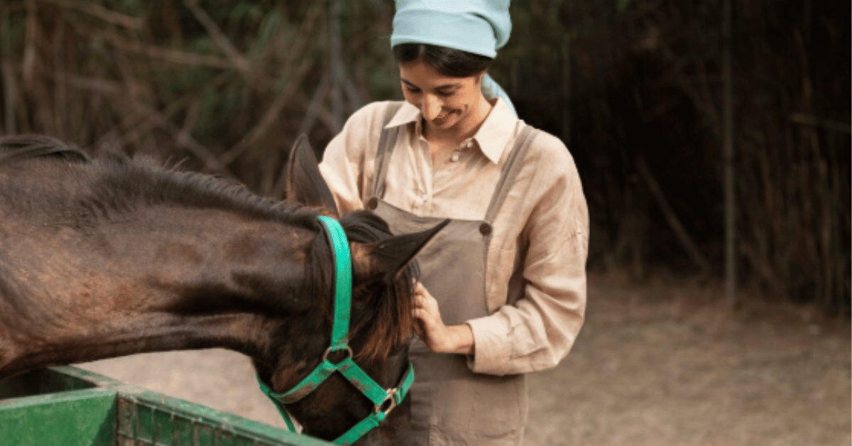 friesian breeders